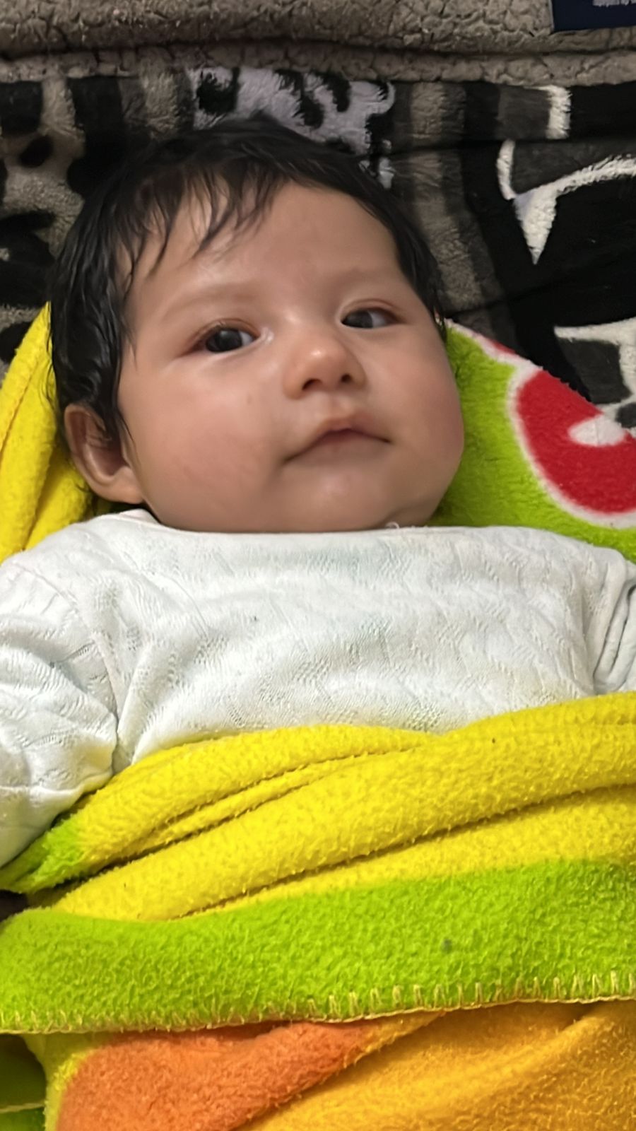 Fernanda
